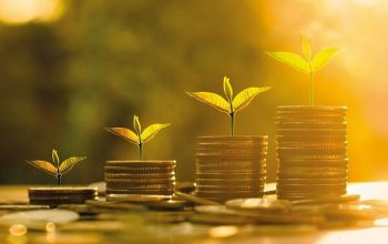 hipa-vip-cash-incentive-system-hungary-individual-government-decision-2019